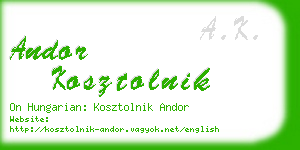 andor kosztolnik business card